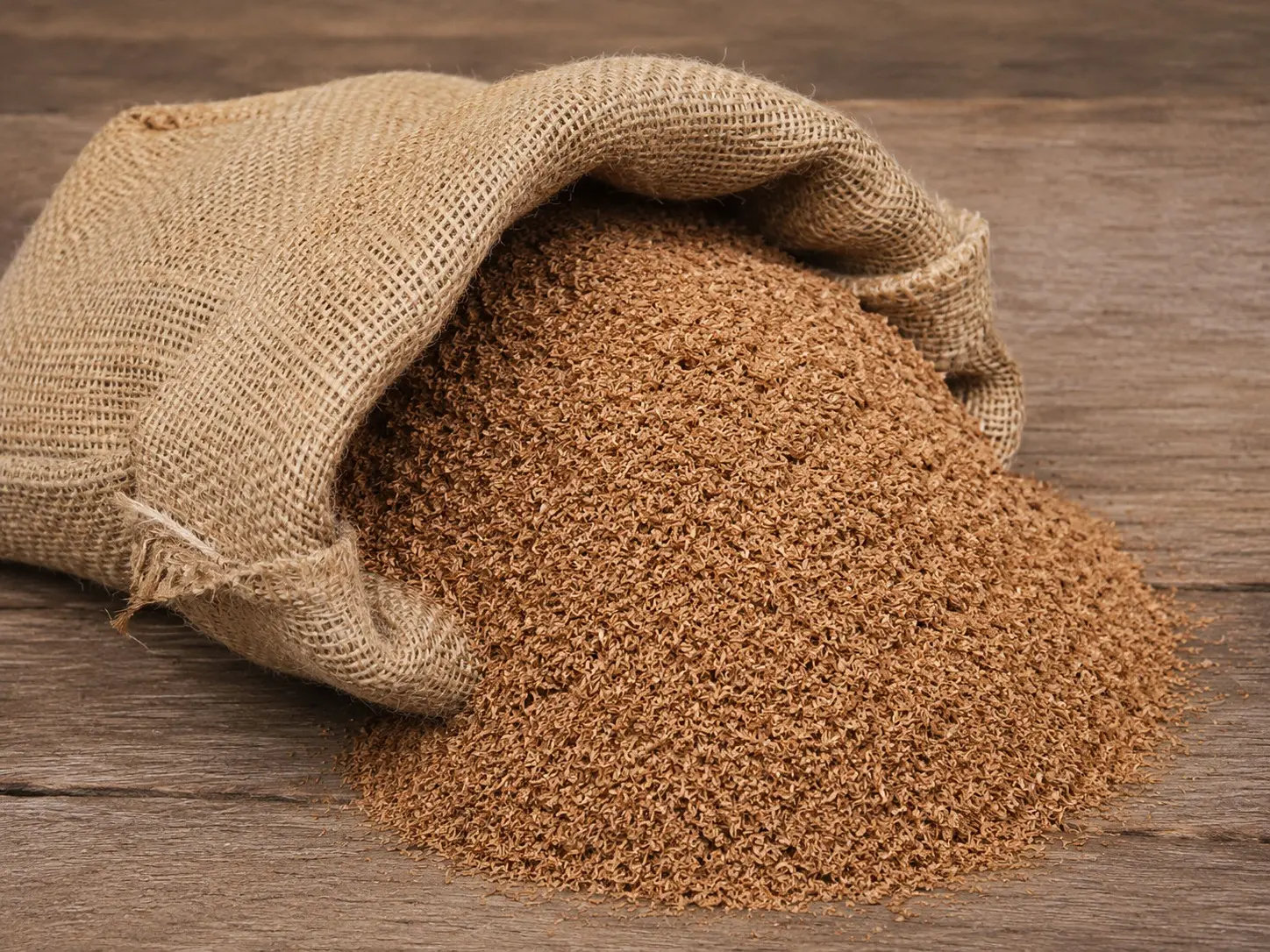 Psyllium Gola / Animal Feed
